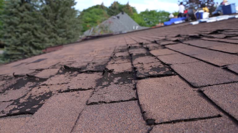 Trusted Rensselaer, NY Roof Repair & Installaion Experts